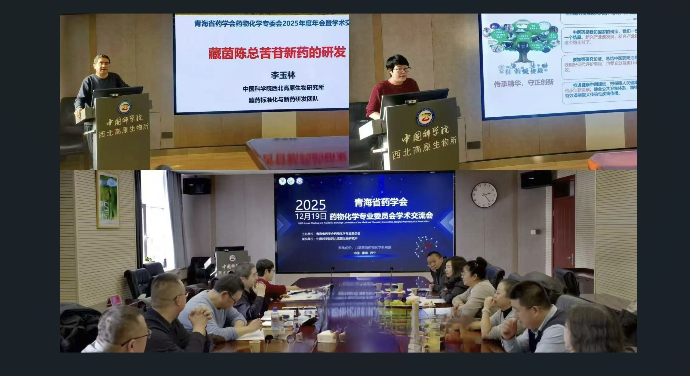 聚焦前沿，共筑青海药物化学新高度—青海省药学会药物化学专业委员会2025年度年会及学术交流会